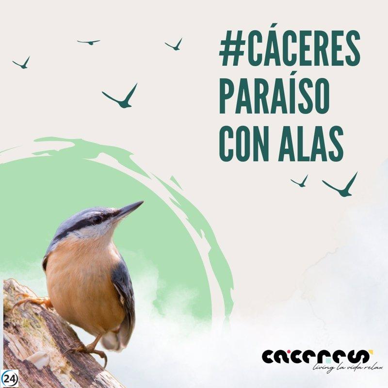 Diputación de Cáceres impulsa campaña para fomentar turismo ornitológico en la provincia.