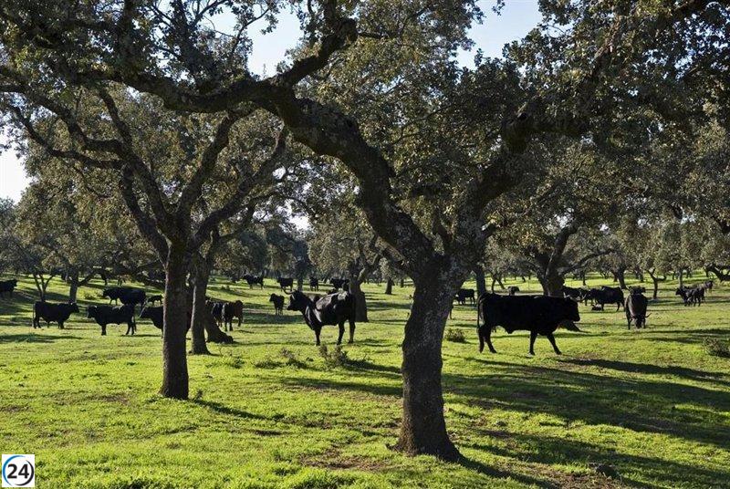 Trágico desenlace para un veterinario tras ser atacado por un animal en una finca de Alconchel