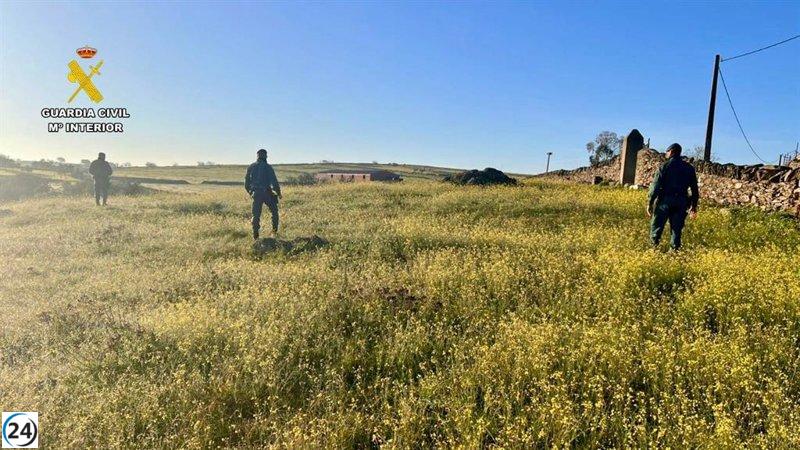 Un hombre arrestado por su supuesta participación en la desaparición de un residente de Hinojal.