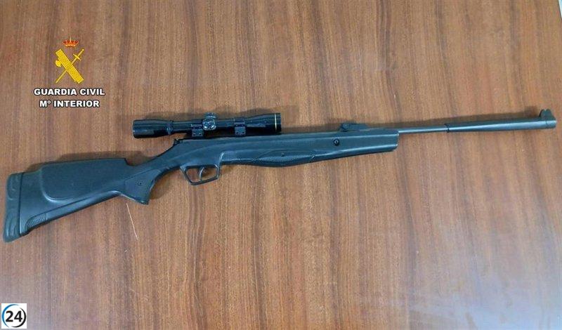 Dos jóvenes, uno menor de edad, bajo investigación por la muerte de gatos en Valverde de la Vera con una escopeta de balines.