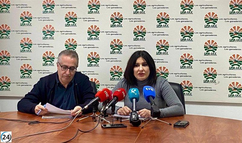 UPA-UCE denuncia la falta de acción de la Junta en la gestión de fondos para el viñedo, que ahora deberán reembolsar.
