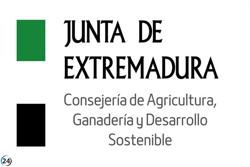 Extremadura lidera la innovación al aprobar el primer proyecto español de producción de gas natural mediante 'P2G'.