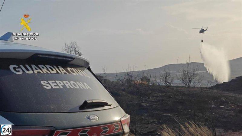 Arrestada por iniciar intencionadamente un incendio forestal en Villamesías y varios focos en sus alrededores.