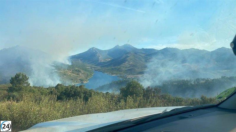 Equipos de Infoex combaten incendio forestal de categoría 1 en Cañamero.