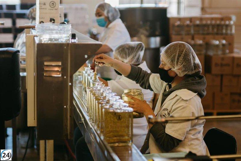 Desciende el desempleo en Extremadura con 21.500 nuevos empleos en el segundo trimestre.