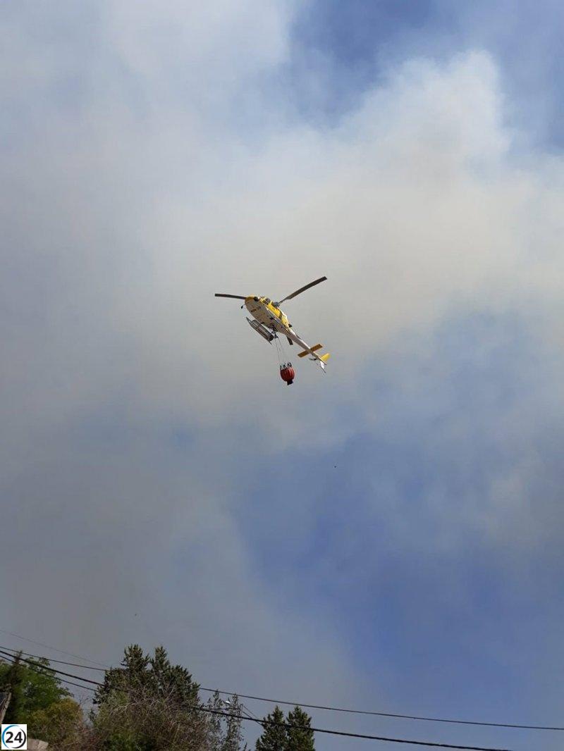 Controlado el incendio forestal cerca de la playa de Medellín.