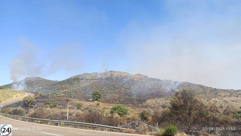 El Infoex baja la alerta de peligro por el incendio en Benquerencia de la Serena.