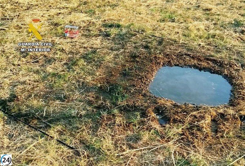 La Guardia Civil detiene a un vecino de Badajoz por caza ilegal con jilgueros como reclamo.