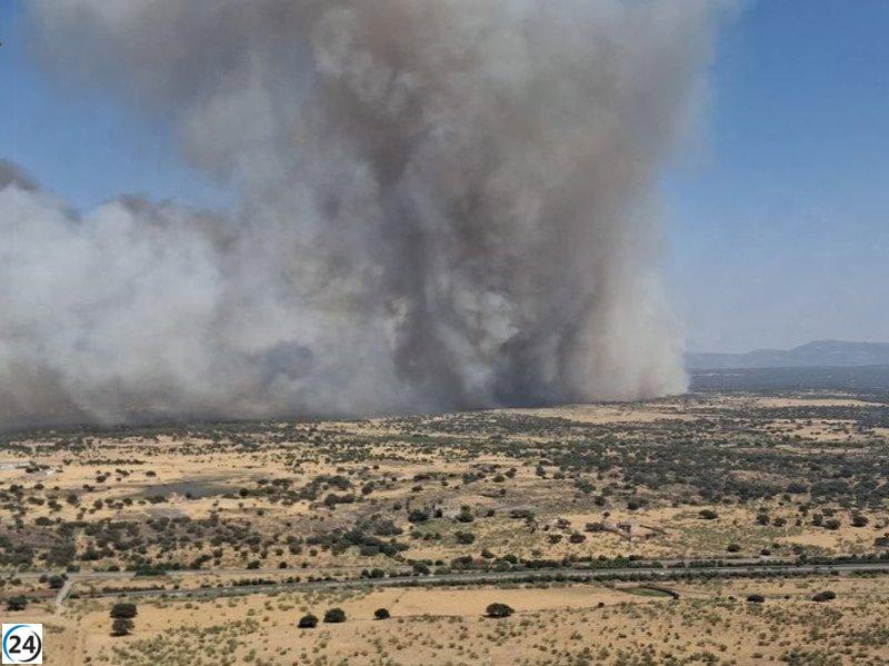 Incendio en Aldea del Cano obliga a evacuar 50 hogares en una urbanización.