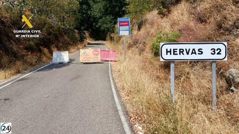 Interrumpido el tráfico en la CC-224 por labores de limpieza en Hervás.