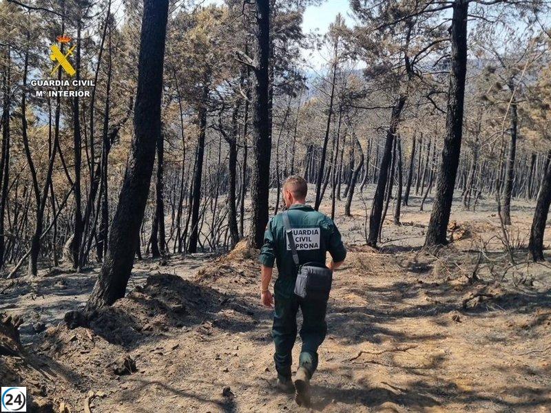 Arrestan a cuatro y abren pesquisas a seis por incendios forestales en Cáceres.