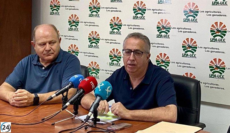 UPA-UCE Extremadura planea protestas ante la falta de respuesta de la Junta a las demandas del sector agrario tras los incendios.