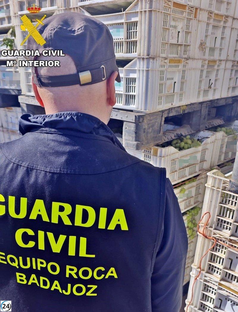 Siete residentes de Badajoz bajo la mira por el robo masivo de uvas en Valdebótoa.