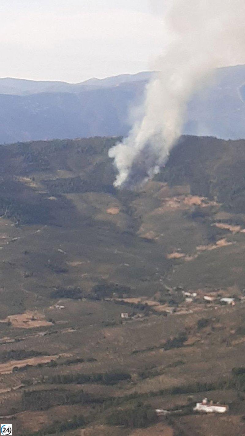 El Infoex se moviliza ante 17 incendios forestales que arrasaron 18 hectáreas esta semana.