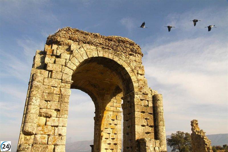 Expertos alemanes exploran la Vía de la Plata en su travesía por Extremadura.