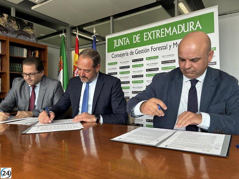 Asistencia legal sin costo para las víctimas de los incendios estivales en Extremadura.