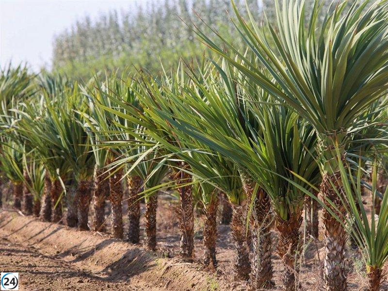Badajoz impulsa una campaña para embellecer sus espacios verdes con nuevas plantas.