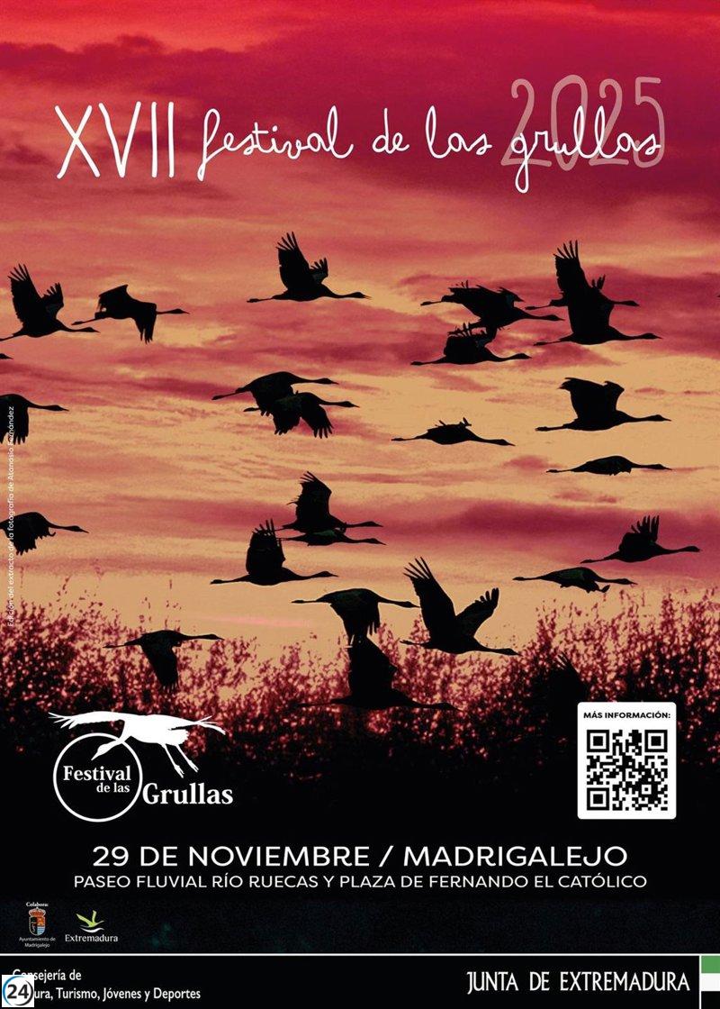 El Festival de las Grullas se traslada a Madrigalejo con 30 actividades el 29 de noviembre.
