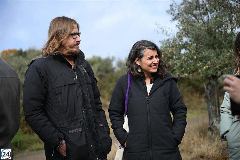 Unidas impulsa un plan para asegurar la viabilidad económica del olivar tradicional y cultivos de montaña.