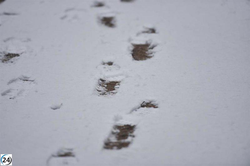 Puerto de Honduras, inhabilitado por la nevada.