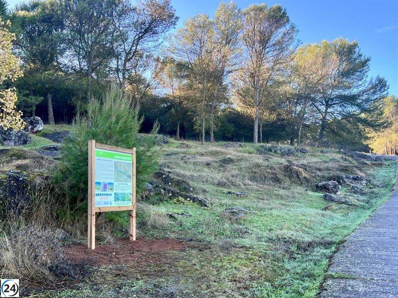 Nuevo ecosendero en la Sierra de San Cristóbal: un recorrido para explorar su diversidad botánica.