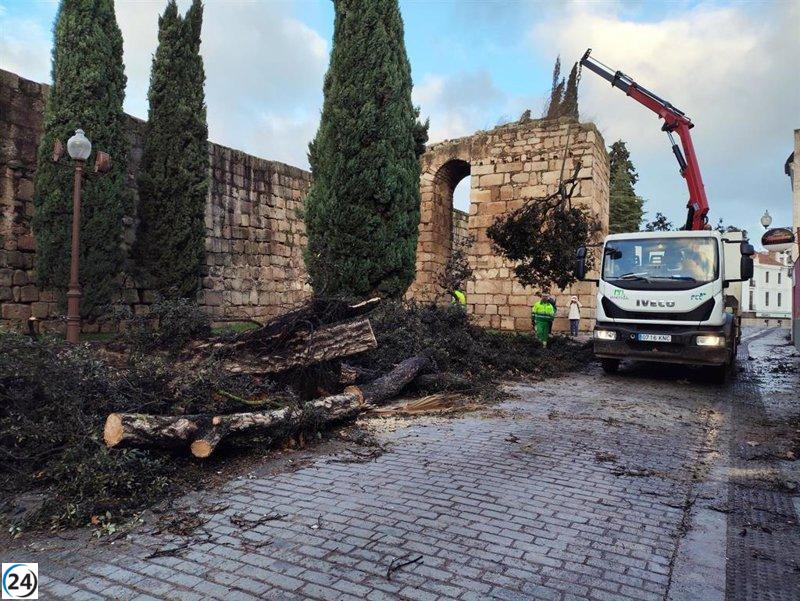 Mérida establece una oficina para gestionar problemas derivados del clima extremo.