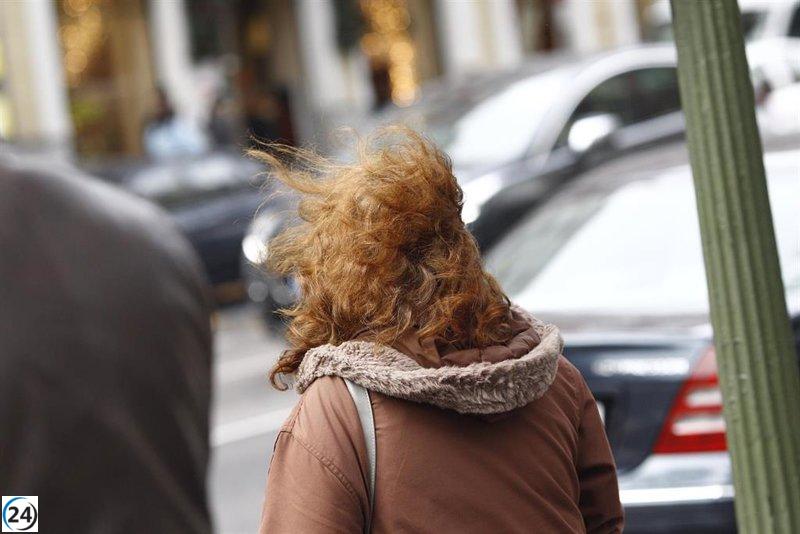 Extremadura activa el Plan de Protección Civil ante fuertes vientos.