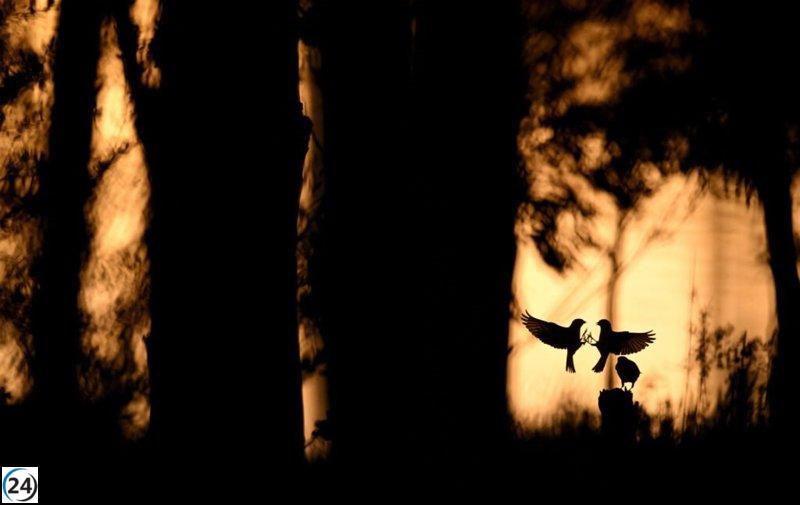 FIO 2026: Feria de Turismo Ornitológico destaca por su récord de expositores y enfoque en la mujer.