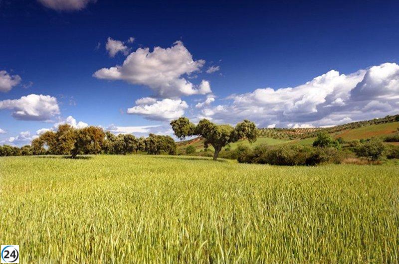 La Junta redefine los criterios de flexibilidad para las ayudas del Plan Estratégico de la PAC en 2026.