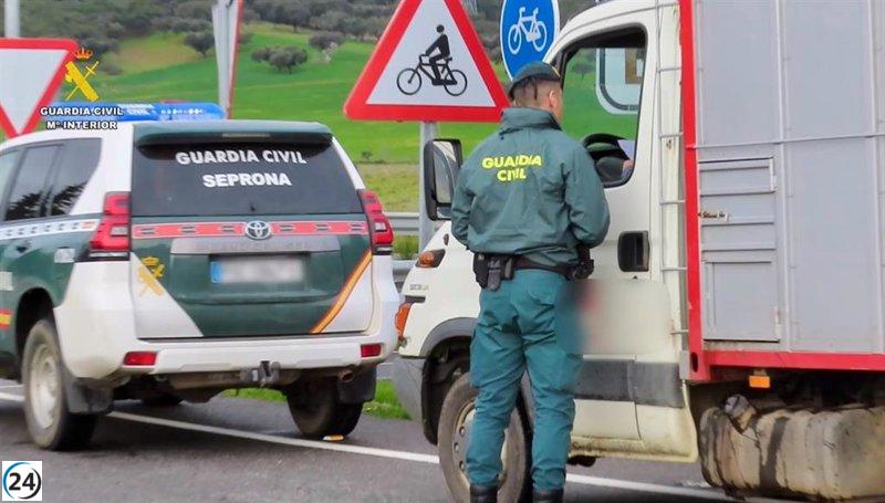 Operativo en Cáceres: siete arrestos y 37 bajo investigación por corrupción en el manejo de la limpieza del transporte animal.