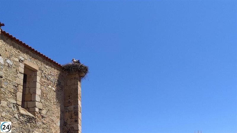 Predicciones meteorológicas para Extremadura este domingo, 1 de marzo de 2026.