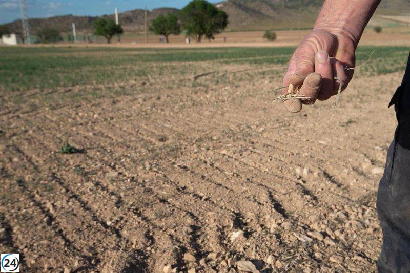 El Gobierno reduce 25% IRPF para apoyar a 800K agricultores y ganaderos debido a la sequía.