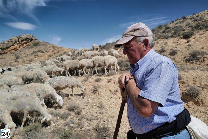 Gobierno puede aprobar hoy ayudas directas al campo de Extremadura por sequía, complementadas por la Junta.
