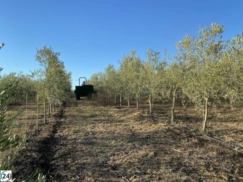 Apag pide apoyo para producciones excluidas en convocatorias anteriores, como los cultivos permanentes.