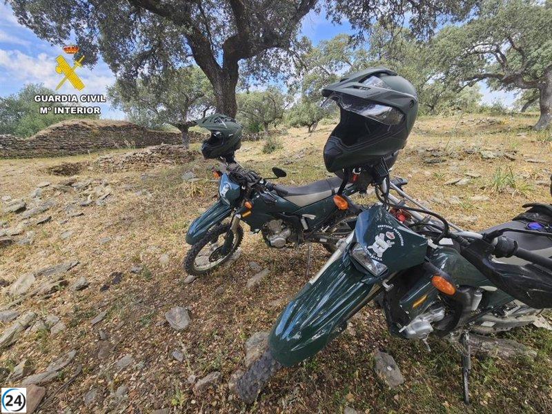 Dueño de perro en Perales del Puerto investigado tras amputación de pata por falta de cuidados.