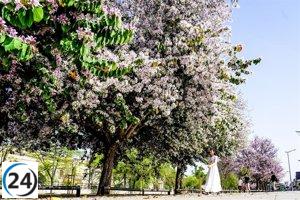 Excelente clima en Extremadura para hoy, domingo 1 de octubre de 2023.