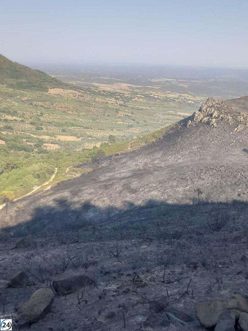 El exitoso Plan Infoex atiende 48 incidentes en Extremadura, incluyendo 13 incendios forestales.