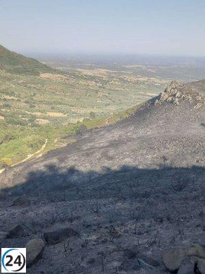 El exitoso Plan Infoex atiende 48 incidentes en Extremadura, incluyendo 13 incendios forestales.