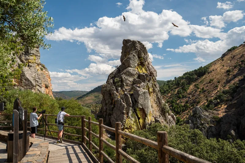 Las dehesas, una maravilla natural de Extremadura