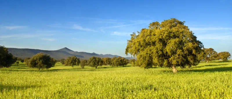 La diversidad de paisajes en el Parque Natural del Tajo Internacional