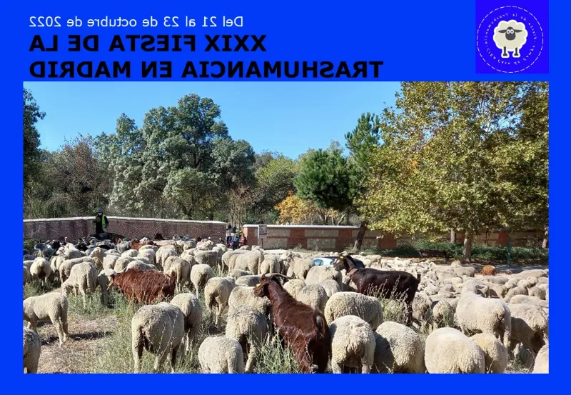 La Fiesta de la Trashumancia en La Vera